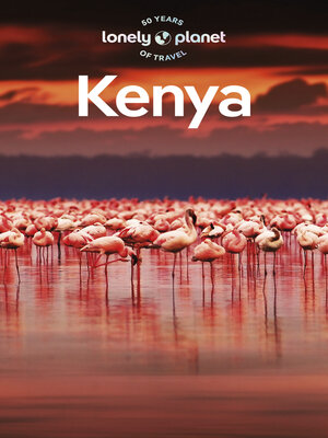 Travel Guide Kenya - ebook